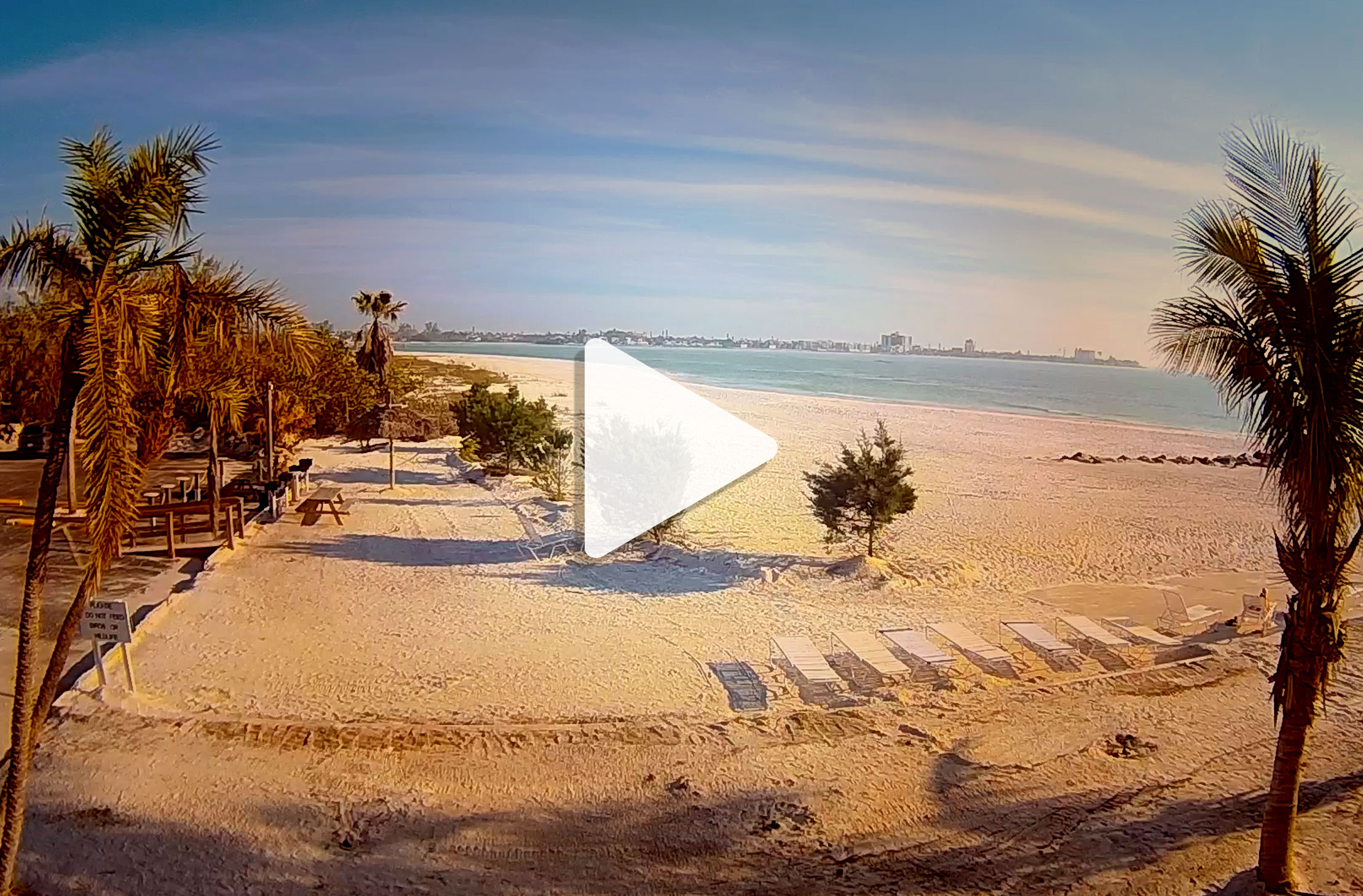 View our Webcam