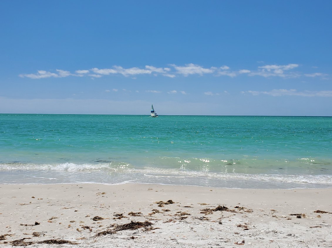 Sarasota Sands Resort Beach